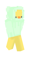 Skin preview