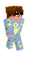 Skin preview