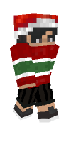 Skin preview