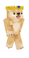 Skin preview