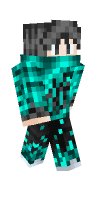 Skin preview