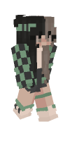Skin preview