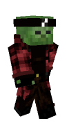 Skin preview
