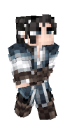 Skin preview