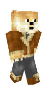 Skin preview
