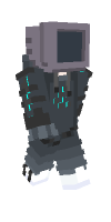 Skin preview