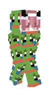 Skin preview