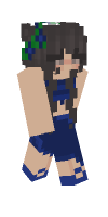 Skin preview