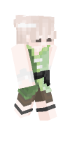 Skin preview