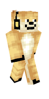Skin preview