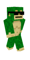 Skin preview