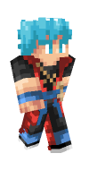 Skin preview