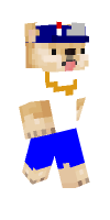 Skin preview