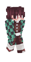 Skin preview