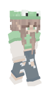 Skin preview