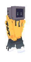 Skin preview