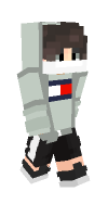 Skin preview