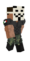 Skin preview