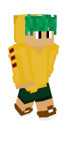 Skin preview