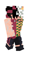 Skin preview
