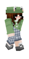 Skin preview