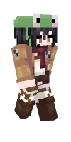 Skin preview