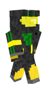 Skin preview
