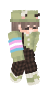 Skin preview