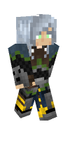 Skin preview