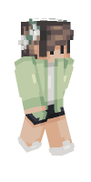 Skin preview