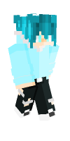 Skin preview