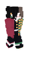 Skin preview