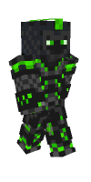Skin preview