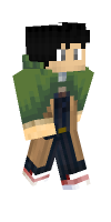 Skin preview
