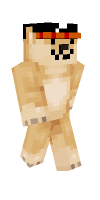Skin preview