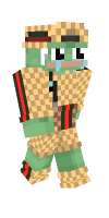 Skin preview