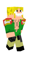 Skin preview