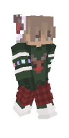 Skin preview