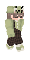 Skin preview