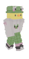 Skin preview