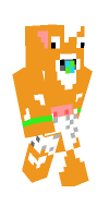 Skin preview
