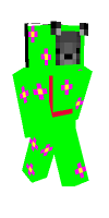 Skin preview