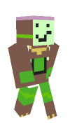 Skin preview