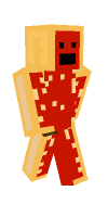Skin preview