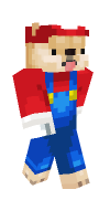 Skin preview