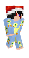 Skin preview