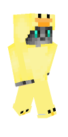 Skin preview
