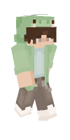 Skin preview