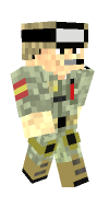 Skin preview