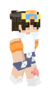 Skin preview
